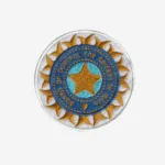 Board of Control Cricket in India Logo Embroidered Iron On Patch
